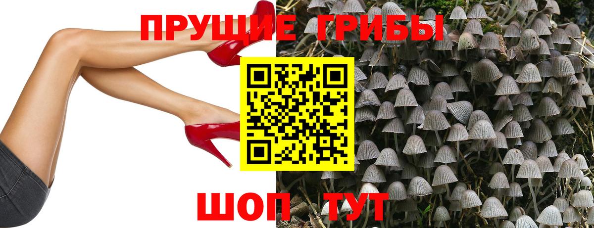 купить наркоту  Вход с VPN  Новошахтинск  Псилоцибиновые грибы Cubensis 